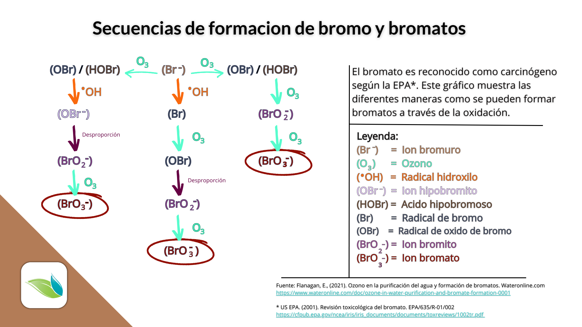 Qué es el bromo como desinfectante?